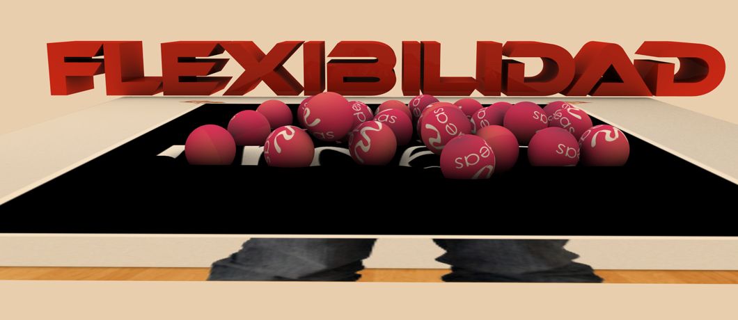 NRIDEAS - FLEXIBILIDAD